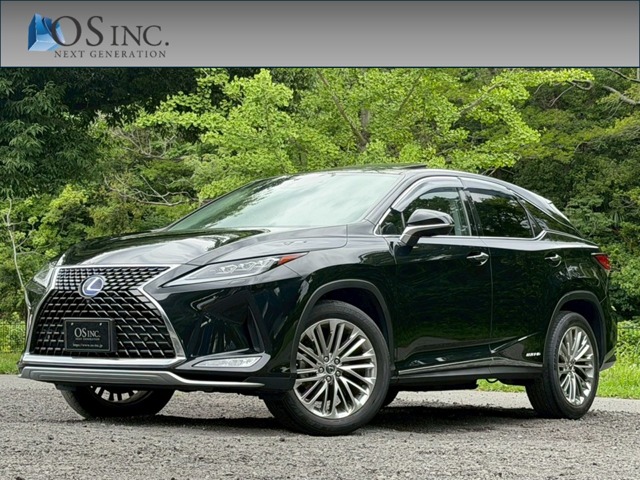 2020 Lexus RX