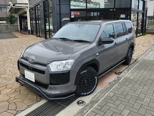 Toyota Probox Van 1