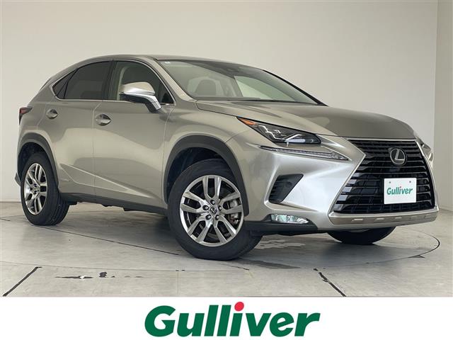 Lexus NX 1