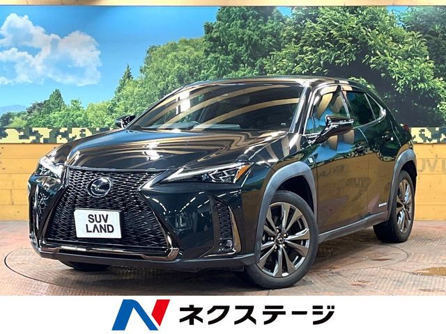 2021 Lexus UX