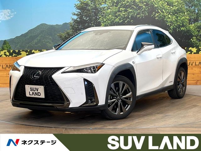 2021 Lexus UX