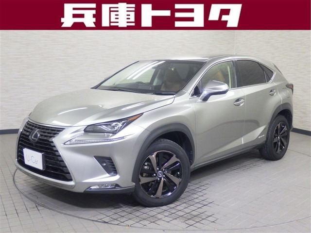 2018 Lexus NX