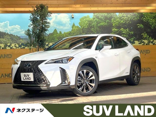 2021 Lexus UX