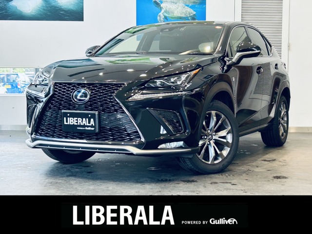 2019 Lexus NX