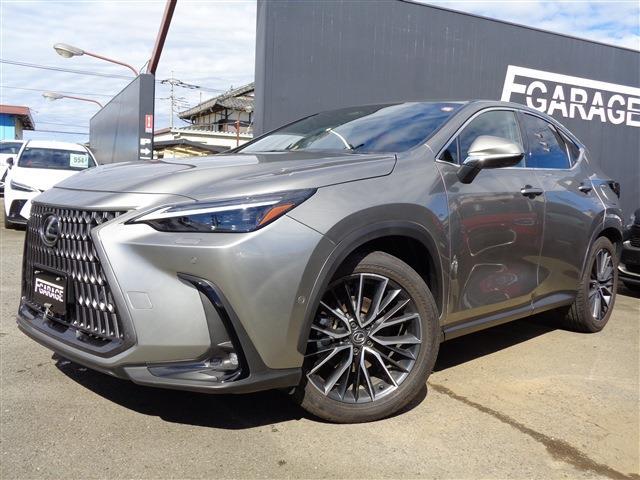 2023 Lexus NX