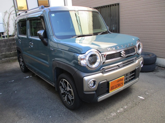 Suzuki Hustler 1