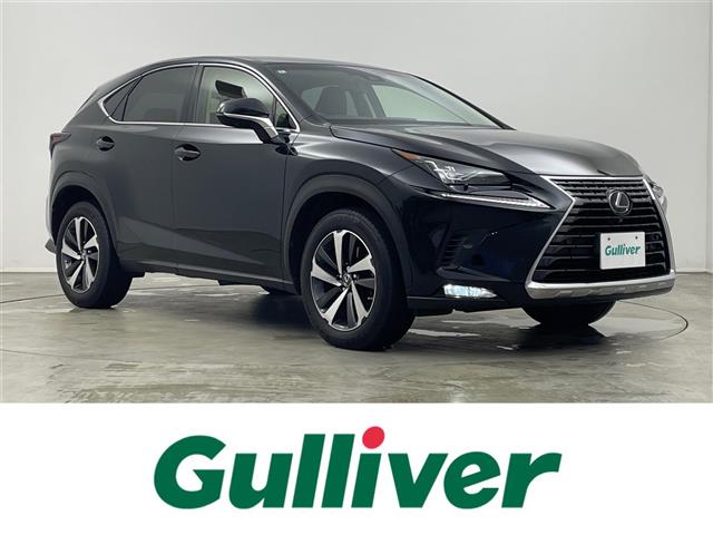 2018 Lexus NX