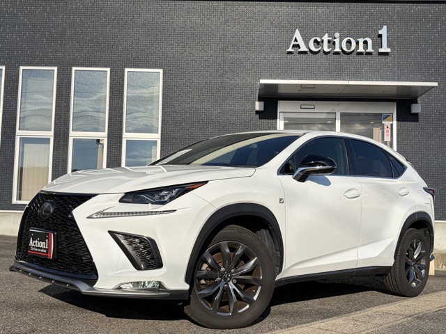 2018 Lexus NX