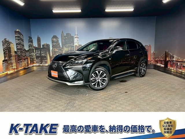 Lexus NX 1