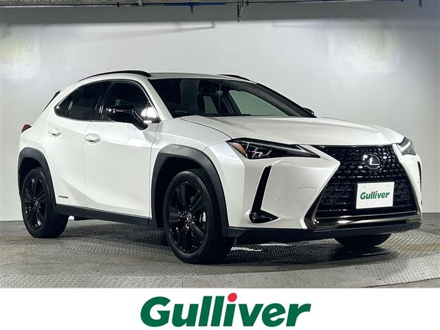 2021 Lexus UX