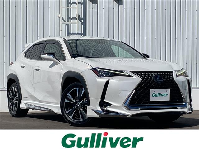 Lexus UX 1