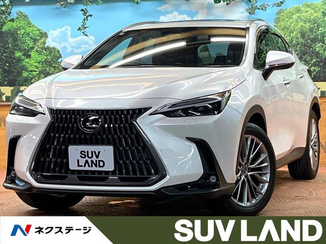 Lexus NX 1