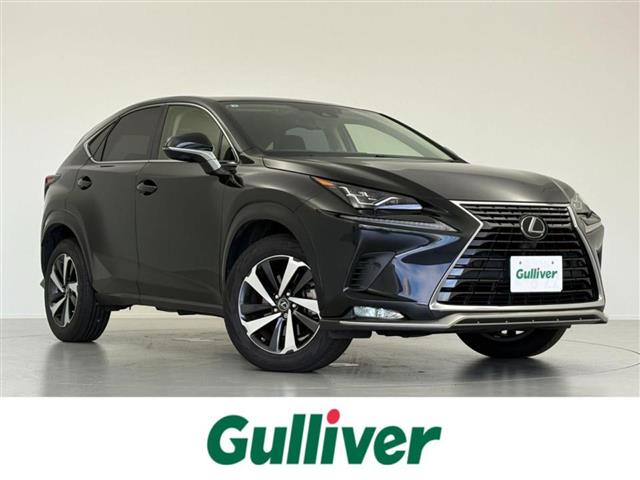 Lexus NX 1