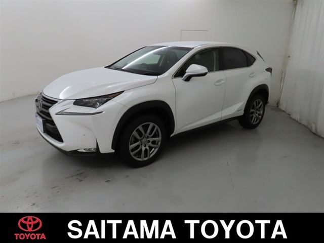 2014 Lexus NX