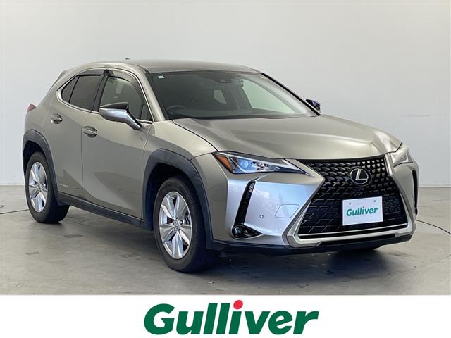 2021 Lexus UX