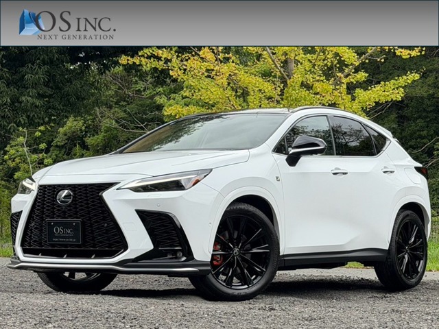 2024 Lexus NX