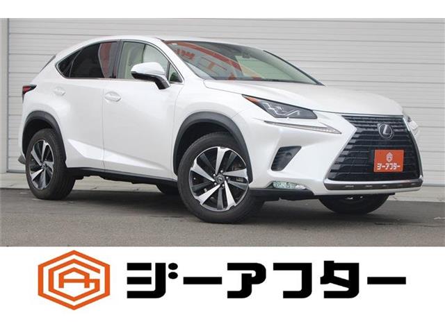 Lexus NX 1