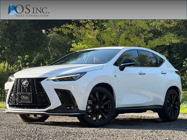 Lexus NX 1