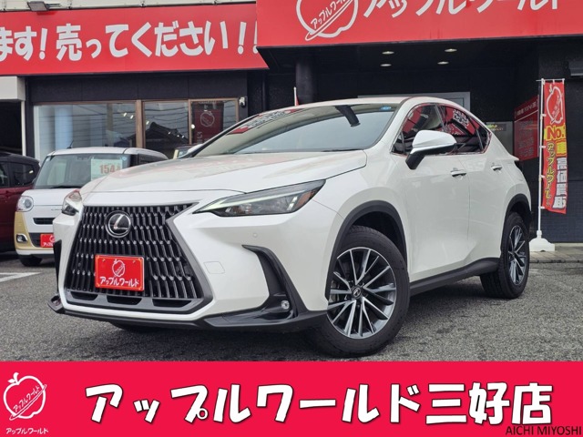 Lexus NX 1