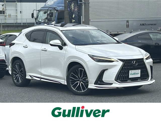 2021 Lexus NX