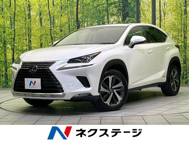 Lexus NX 1