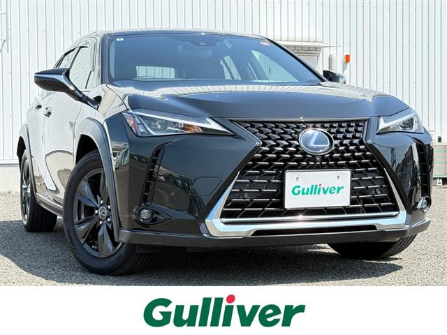 Lexus UX 1