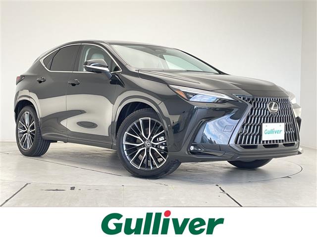 2025 Lexus NX