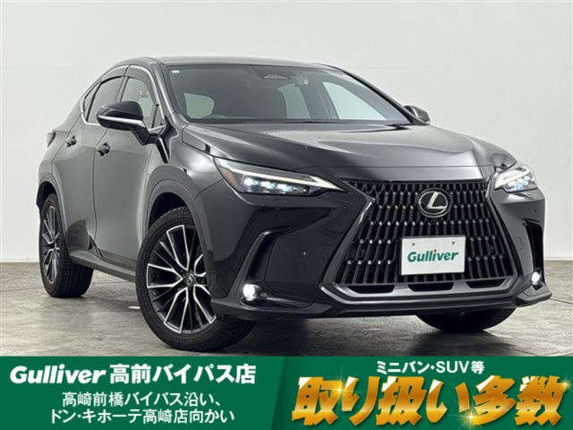 2023 Lexus NX