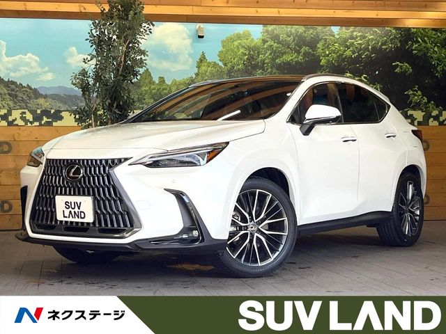 Lexus NX 1