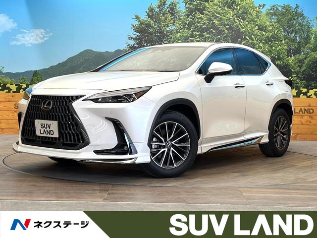 Lexus NX 1