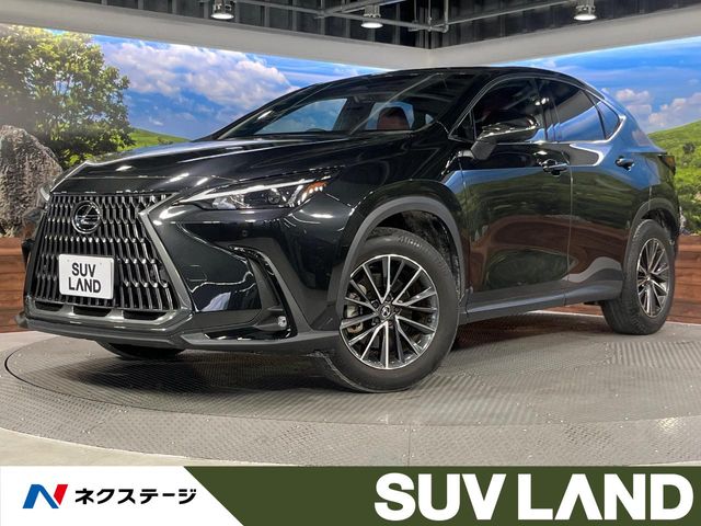 Lexus NX 1