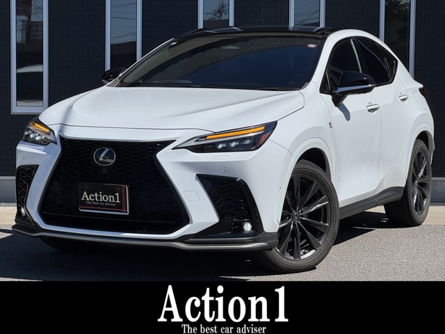 Lexus NX 1