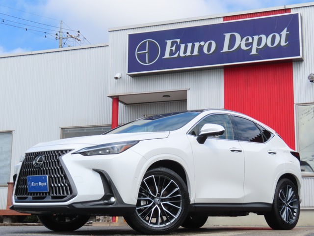 Lexus NX 1
