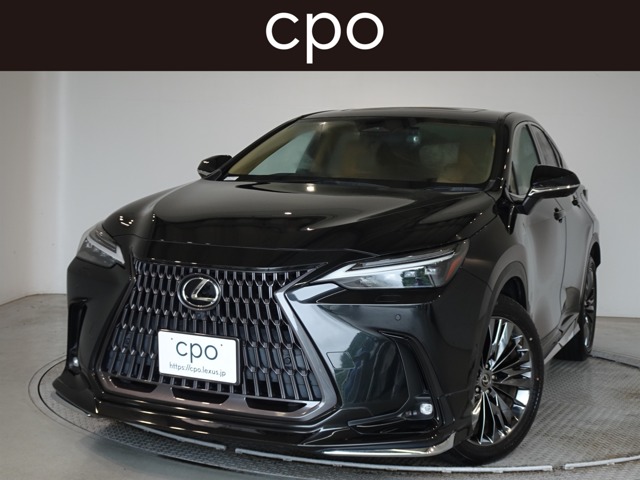 2021 Lexus NX