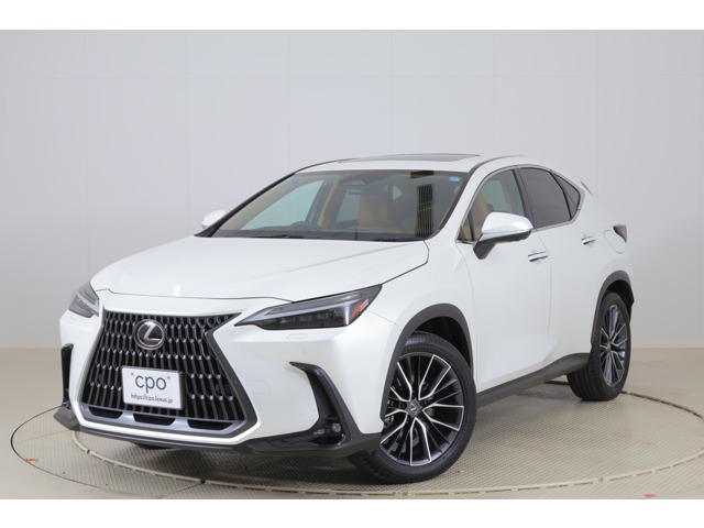 Lexus NX 1