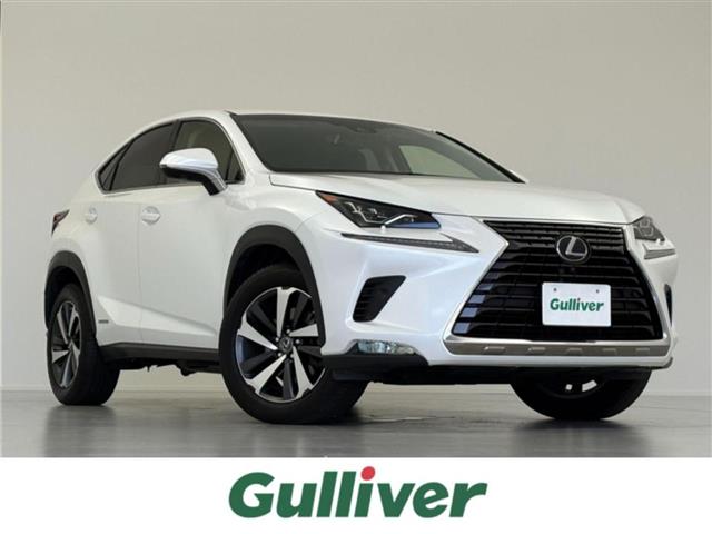 Lexus NX 1
