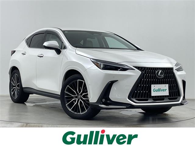 2025 Lexus NX