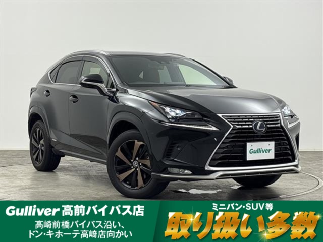 2021 Lexus NX