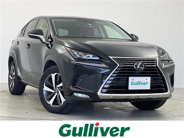 Lexus NX 1