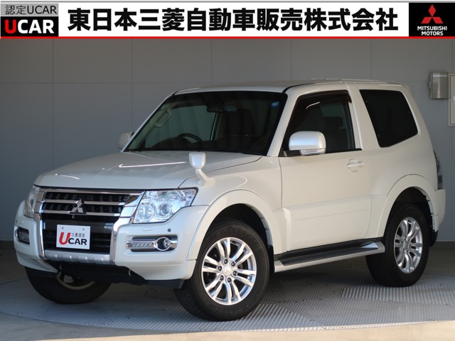 2016 Mitsubishi Pajero