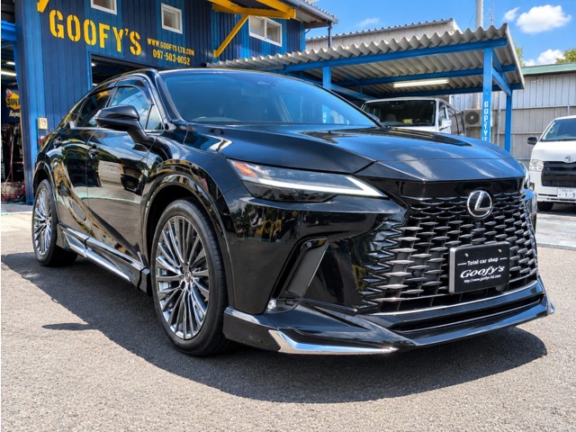2024 Lexus RX
