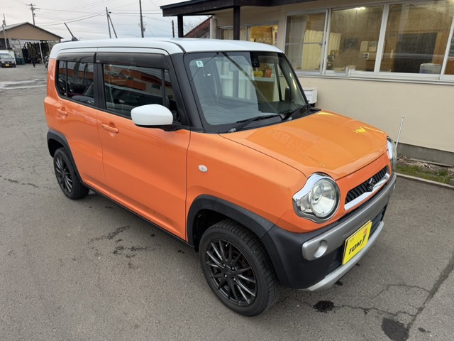 Suzuki Hustler 1