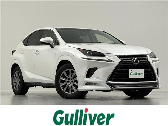2018 Lexus NX