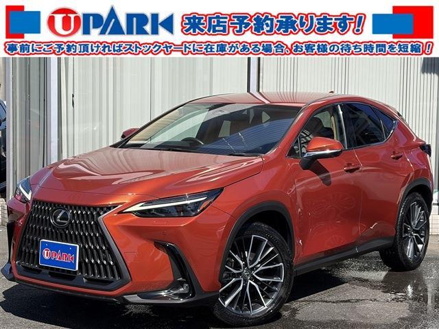 2023 Lexus NX