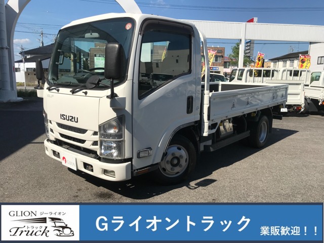 Isuzu Elf 1