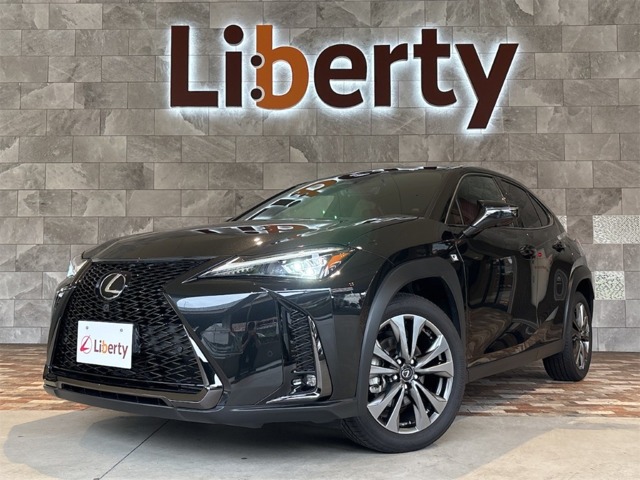 2024 Lexus UX