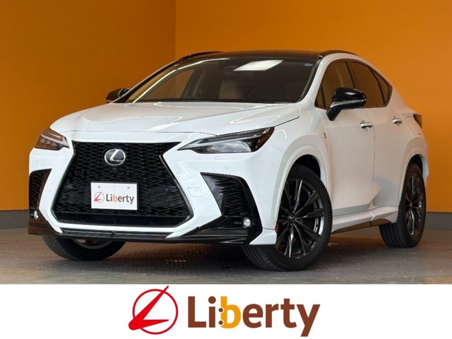Lexus NX 1