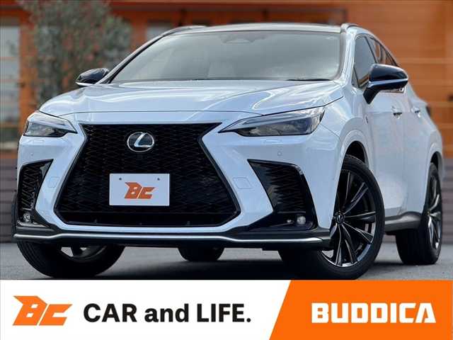 Lexus NX 1