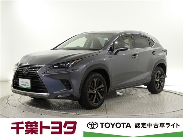 Lexus NX 1