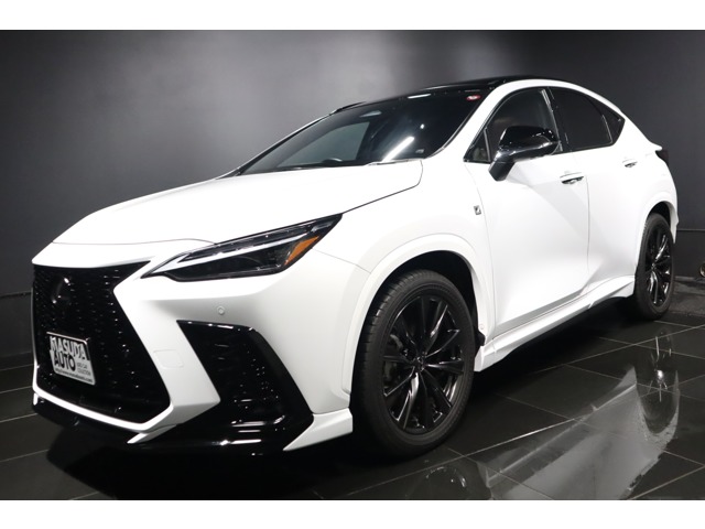 2023 Lexus NX